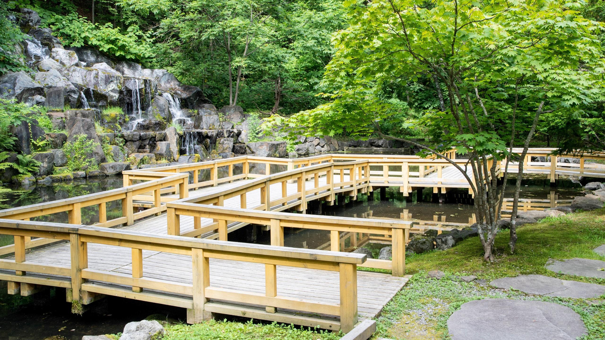 🏞️ 카구라오카 공원 (카구라오카 코엔) 이미지 3